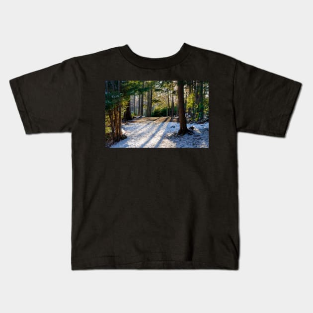 Hemlock Ravine Park 03 Kids T-Shirt by kenmo